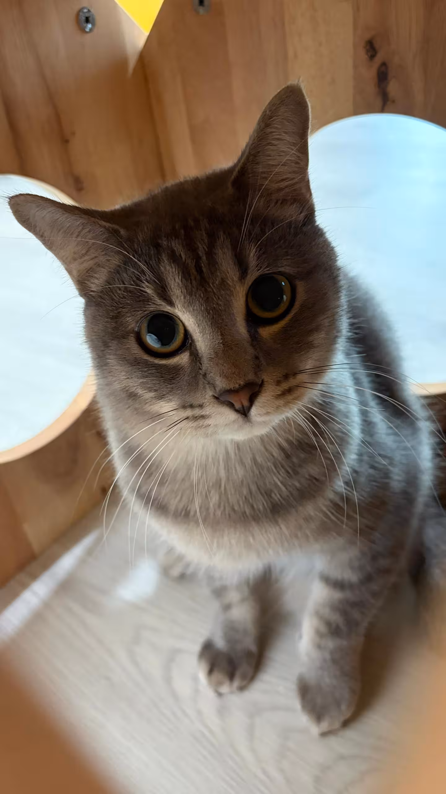 And Our Story Continues